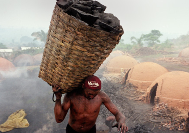 Violent Outbreaks in New York