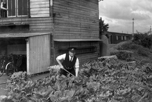 The Black Patch War breaks out in western Kentucky