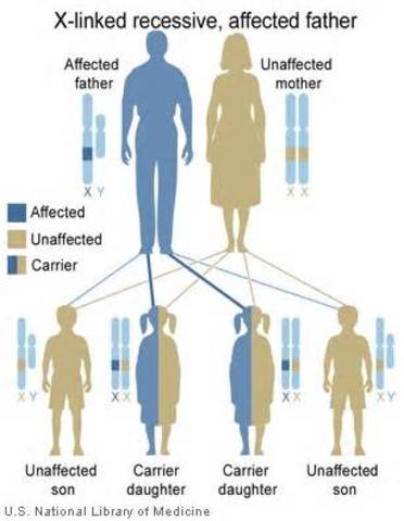 Genes are linked with hereditary disorders.