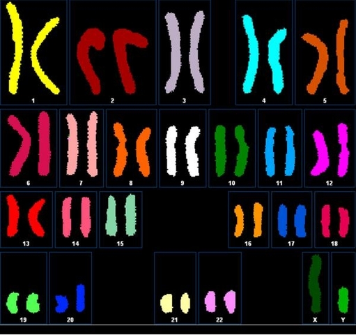 A rough draft of the human genome map is produced, showing the locations of more than 30,000 genes.