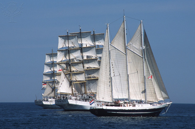 The English begin settling in South Carolina