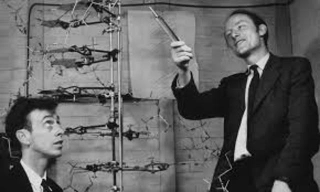 Watson and Crick Determine the Structure of DNA