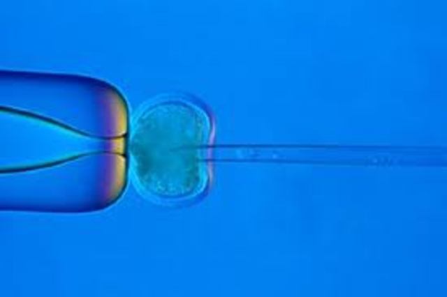 Successful Nuclear Transfer