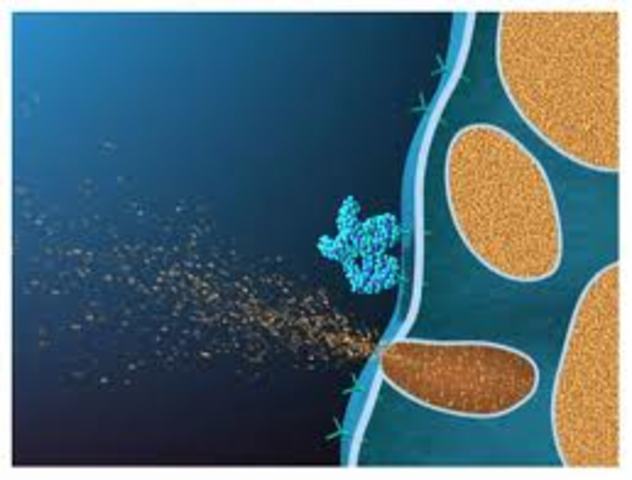 The scratching begins