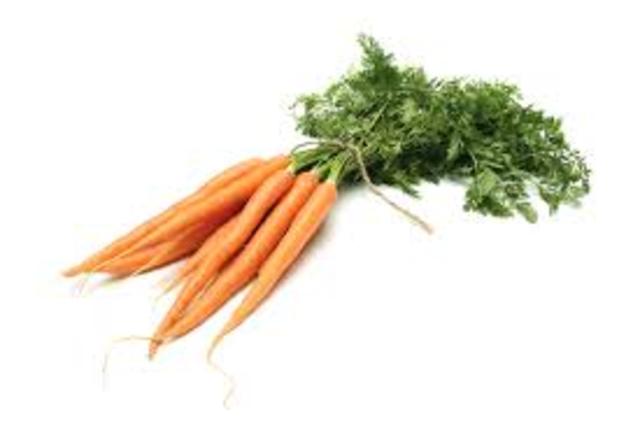 Cloning Carrota