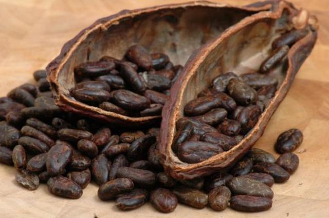 Uses of Cocoa