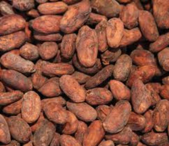 Uses of Cocoa