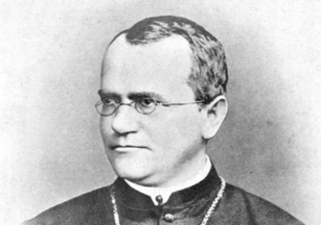 Mutaciones, leyes de Mendel