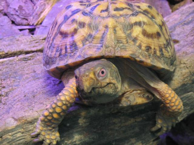 Outdoor Lab 3rd Grade