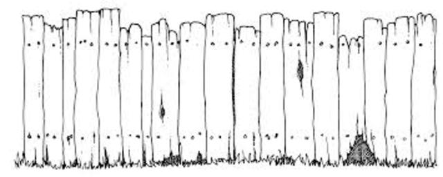 Transport to the Ghettos