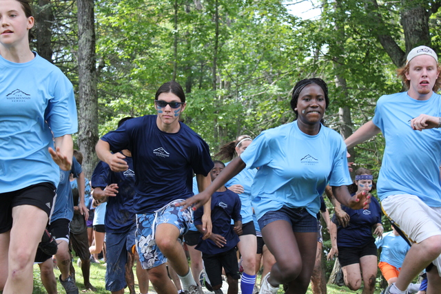 Light Blue, Dark Blue Teams Reinstated