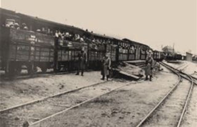 Cattle Car