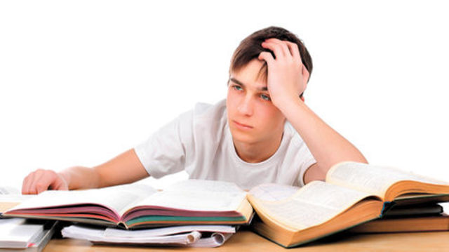 ADOLECESE social aspects