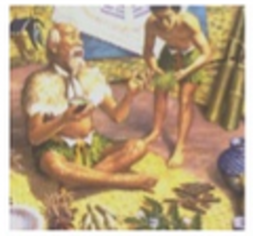 Chinos en la estadistica