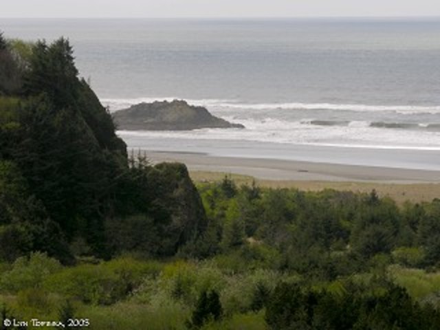 Expedition Finally Arrives at Pacific Ocean