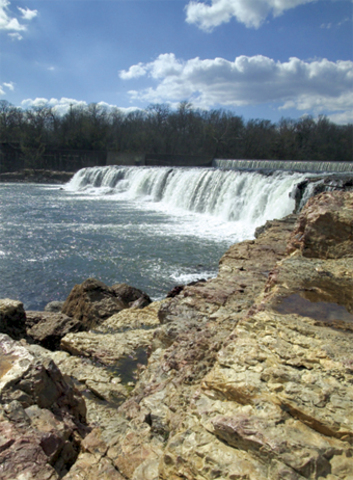 A Spot Where A Tree Profoundly Affected The EXpedition