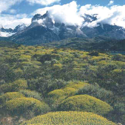 Rio Negro, Argentina
