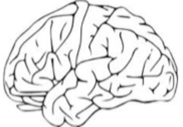 first human experiment with an implantable device