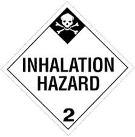 Gasing of the Jews begins