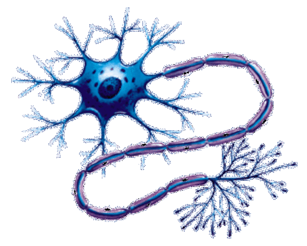 Otto Friedrich Dieters (1834-1863)