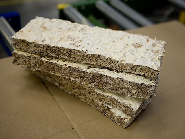 Mushroom® Packaging booms