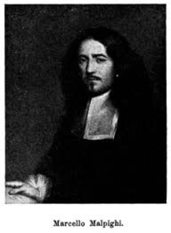 Primera Observacion de Material Biologico con Microscopio