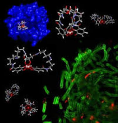 Descubrimiento del Antrax