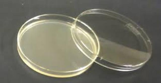 Invención de la caja de Petri