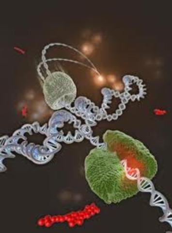 Se inventa la reacción en cadena de la polimerasa