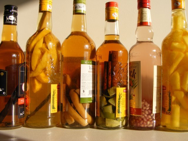 Kodotouze chez Rankib