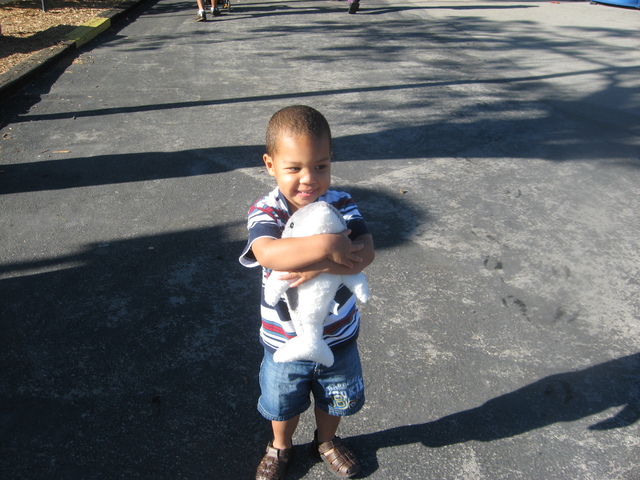 My Trip to the Miami Seaquarium