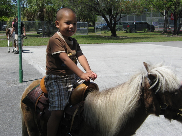 Josie's 5th Birthday Party