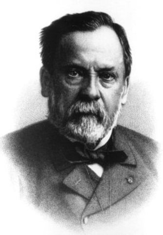 Las levaduras en la Fermentación Alcoholica