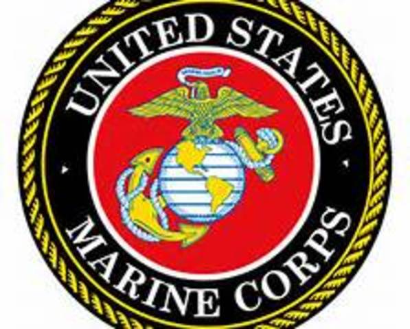 Marines Arrived in Danang