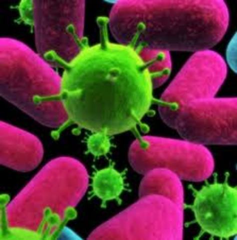 Primer Cáncer Viral.