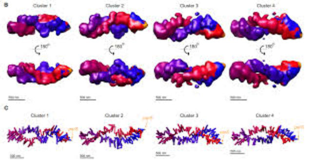 Más de 100 genomas bacterianos secuenciados o en proceso.