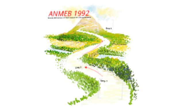 ANMEBM EN 1992
