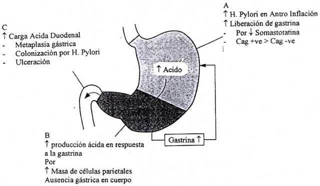 Barry Marshall y Robin Warren