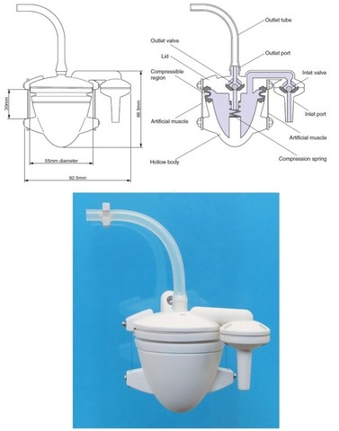 The first robotic heart is printed and powered by urine