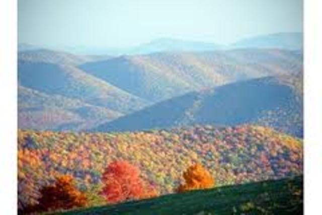 letters to his wife & lizza