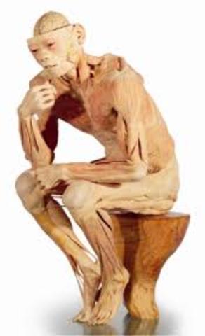 BCE First Human Disections