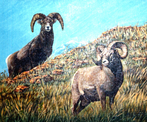 Not All People Love Greg Mortenson