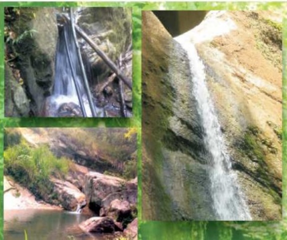 No. 7 - Reflexiones al contacto con la naturaleza