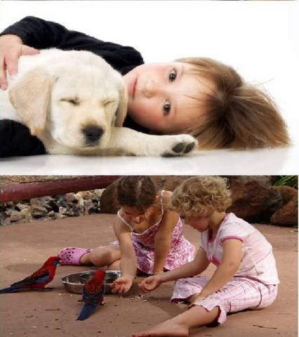 No. 13 - ¿Qué Conocemos Sobre las Enfermedades Zoonóticas?