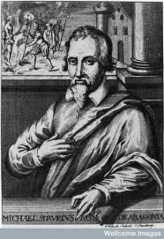 Michael Servetus Theory