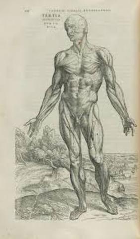 Andreas Vesalius publishes DE FABRICA