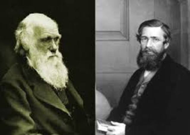 Wallace and Darwin