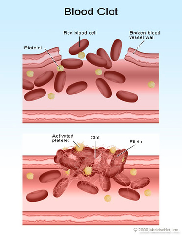 Blood Coagulation