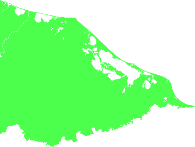 Roberto Carlos Amaya Talavera