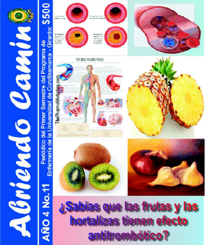 ¿Sabias que las frutas y las hortalizas tienen efecto antitrombótico ?